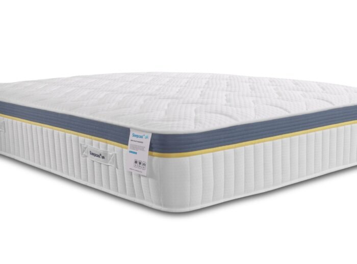 SPINE GUARD 4000_3 SPINE GUARD 4000_3